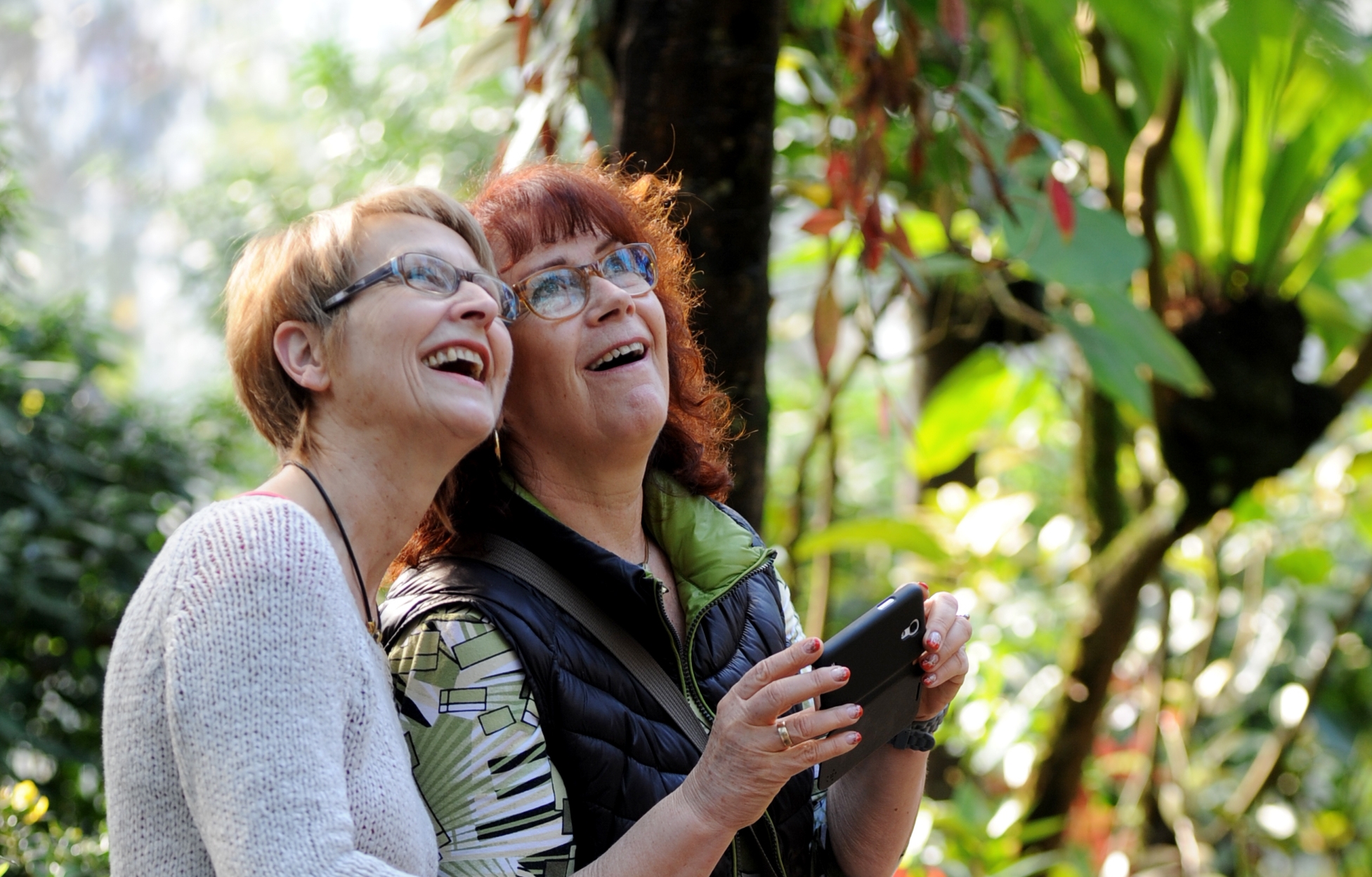 Senioren in der Borneo Pflanzenwelt der botanika