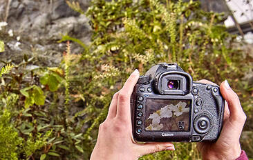 Besucher macht ein Foto im Himalayabereich der botanika