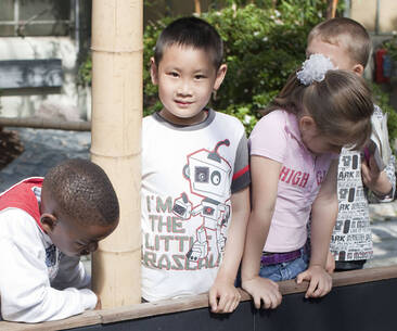 Kinder beobachten Koifische am Becken