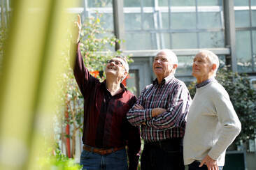 Senioren im japanischen Garten der botanika