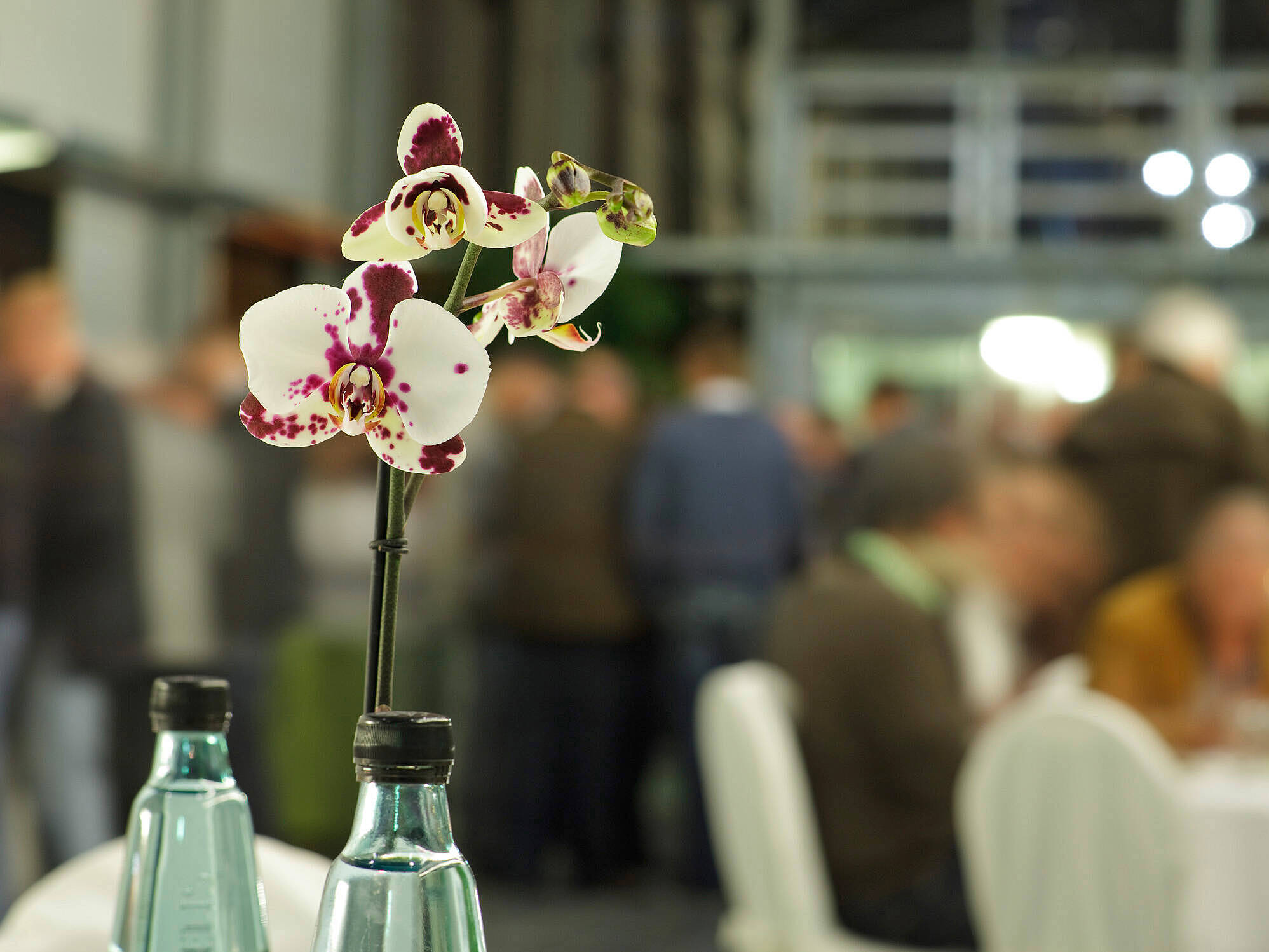 Nahaufnahme von Orchidee und Flaschen die auf einem Tisch stehen