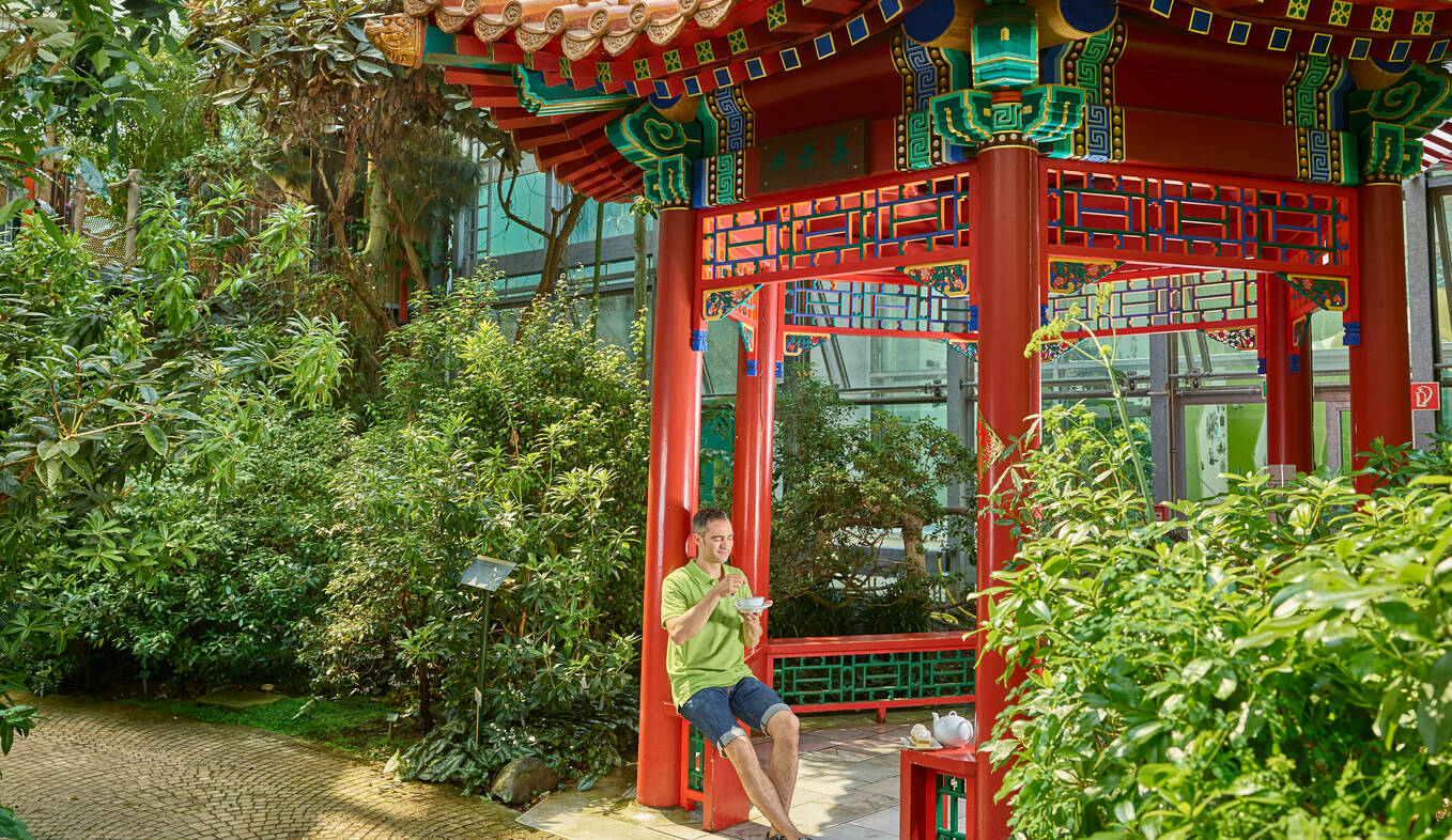 Chinesicher Teepavillon in der botanika