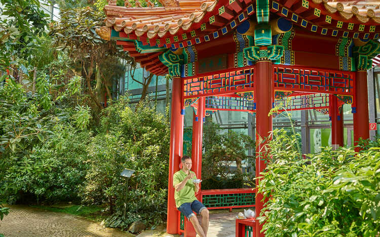Chinesicher Teepavillon in der botanika