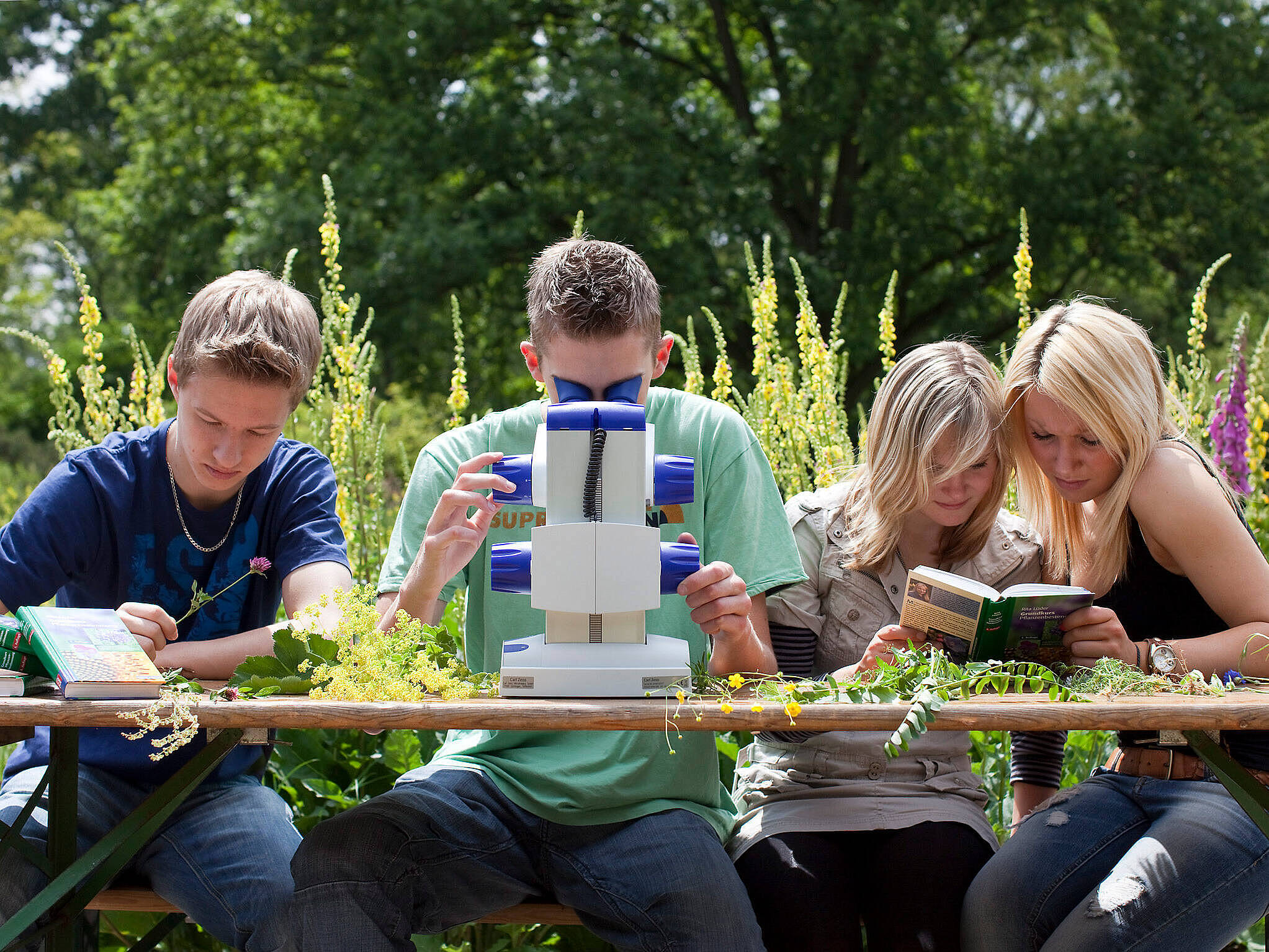 Forschende Jugendliche experimentieren im Rahmen der Grünen Schule im Außenbereich der botanika