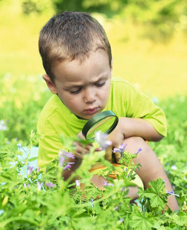 Kleiner Junge forscht mit eine Lupe im Rahmen der Grünen Schule in der botanika